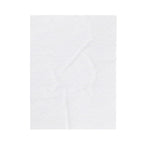 Velveteen Plush Blanket